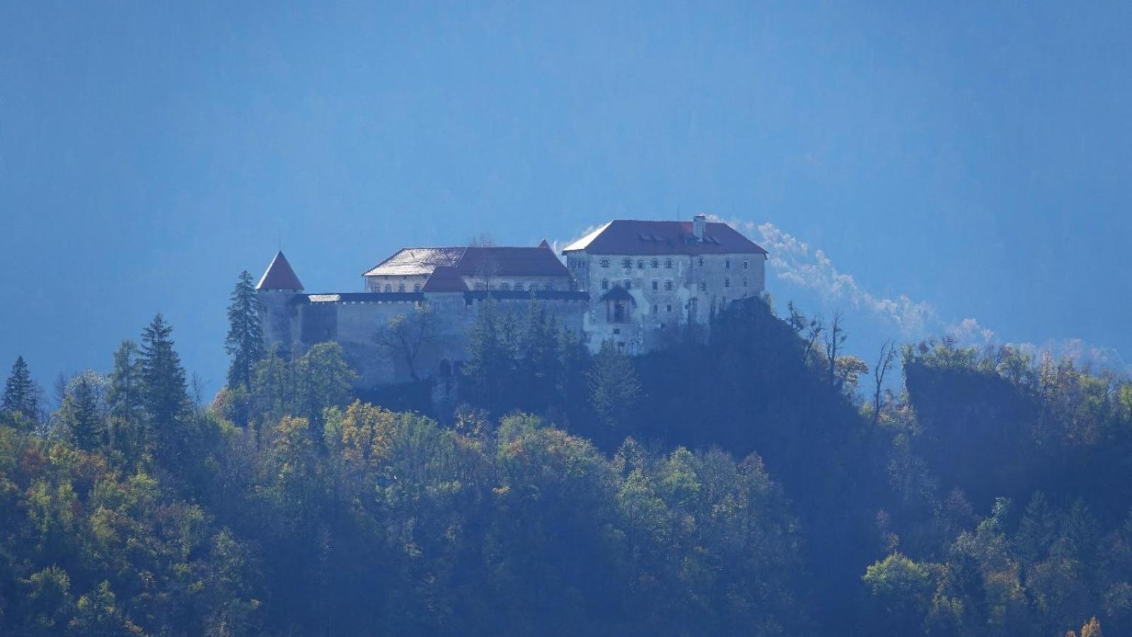 Inin Apartments Bled Esterno foto